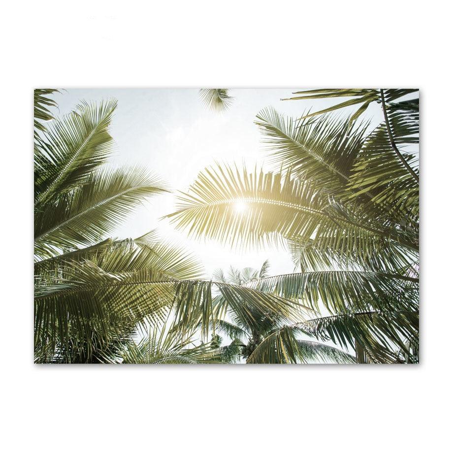 Sunlit Canopy Canvas Art