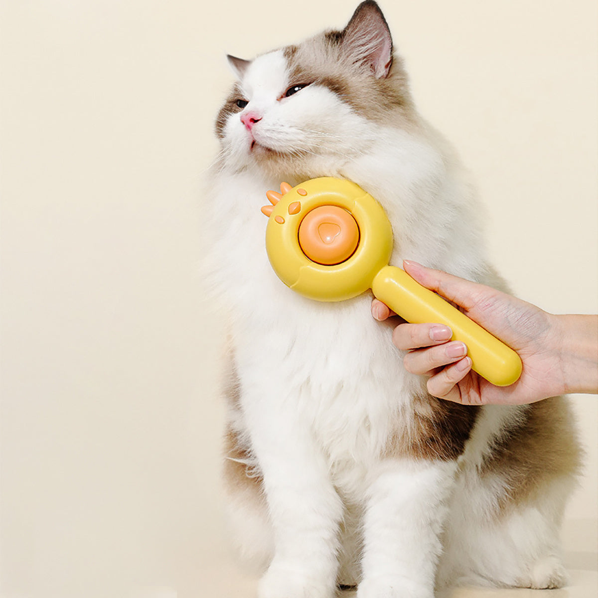 Pet Grooming Brush