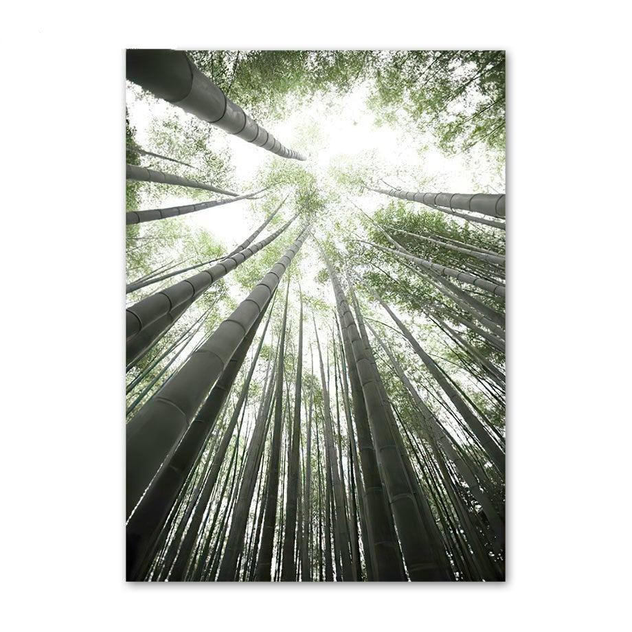 Bamboo Forest Canvas Art