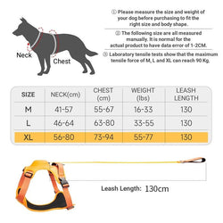 Dog Harness with Lead