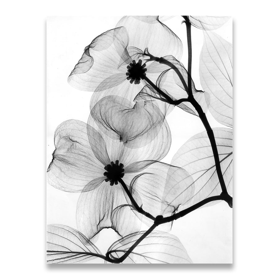 Ethereal Bloom Canvas Art