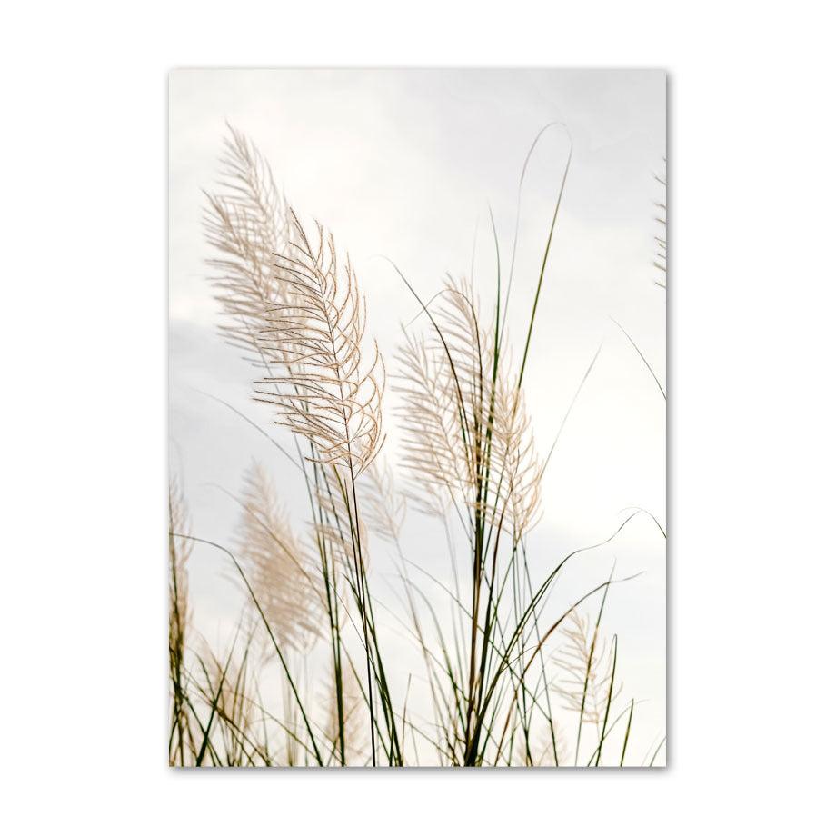 Pampas Grass Canvas Art