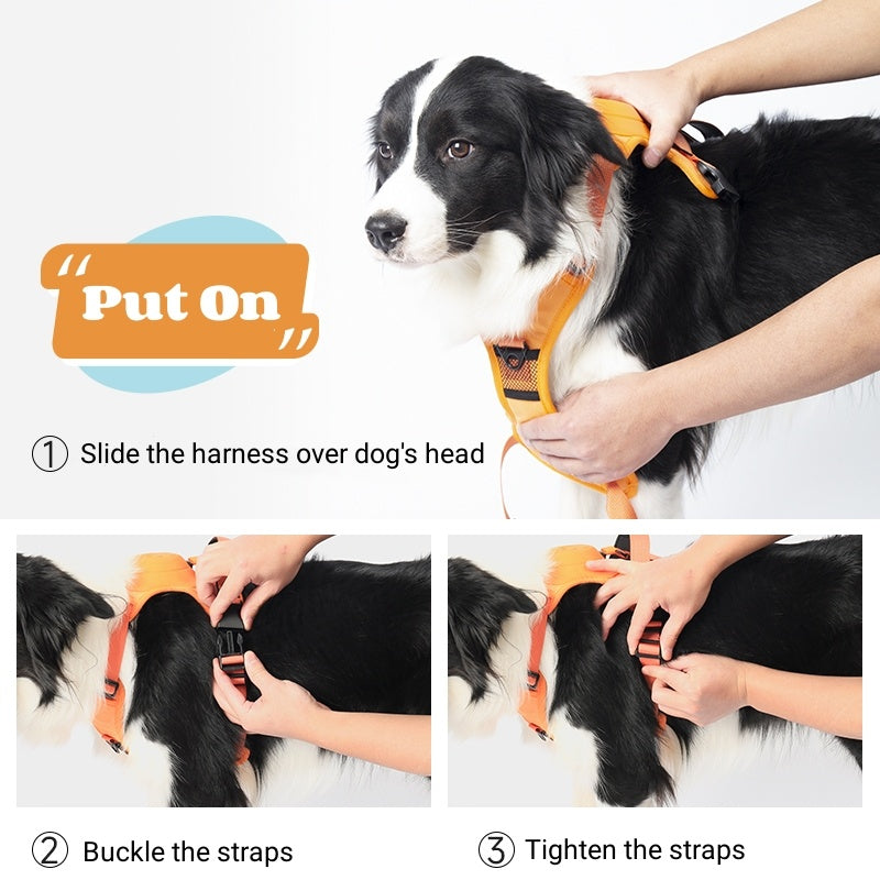 Dog Harness with Lead