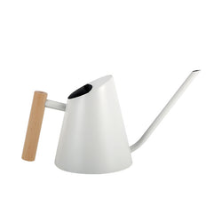 Stainless Steel Watering Can