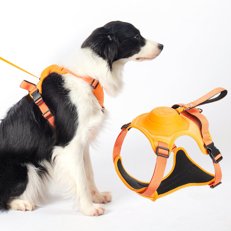 Dog Harness with Lead