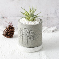 Nature's Grove Concrete Planter