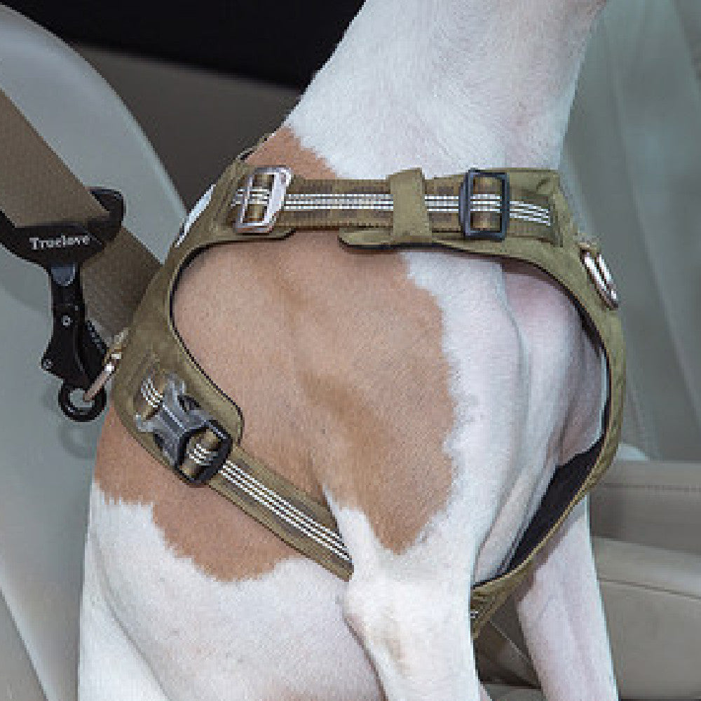 Seat belt Safety Buckle