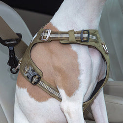 Seat belt Safety Buckle